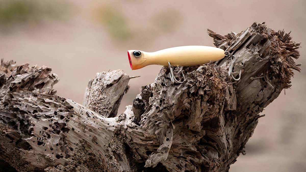 A pale Yo-Zuri Mag Popper resting on textured driftwood